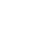 Truffic_Surveys